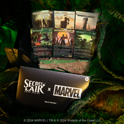 MTG Secret Lair ~ Secret Lair x Marvel's Black Panther ~ Sealed in Hand! - Image 3
