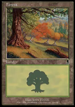 Forest (349) - Foil PL/MP, English MTG Odyssey - Image 1