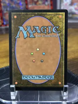 MTG Elegant Parlor 260 NM - Murders at Karlov Manor Regular Magic Card - Image 3