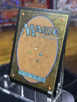 MTG Elegant Parlor 260 NM - Murders at Karlov Manor Regular Magic Card - Image 4