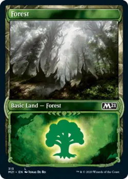 4x MTG Forest (313) - Foil - Showcase, Light Play, English Core Set 2021 - Image 1