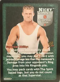 WWE RAW DEAL THE SPIRIT SQUAD 9 CARD LOT - Image 3