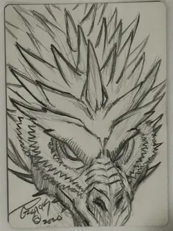 MTG Magic Karona’s Zealot FOIL Signed Sketched Artist Proof x1 A25 Pollack - Image 2