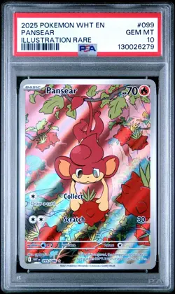 Pokemon Pansear White Flare Illustration Rare WHT EN 099/086 PSA 10 - Image 1