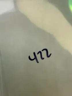 Magic the Gathering: Beta Shanodin Dryads MTG Beta - Image 3