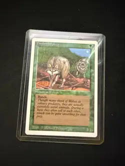 Timber Wolves Revised Edition Regular - Image 1