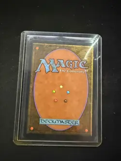 Timber Wolves Revised Edition Regular - Image 2