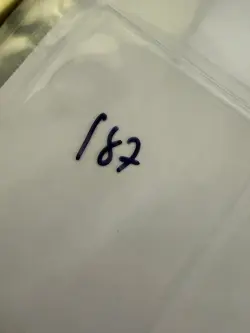 Magic The Gathering: Beta Ironroot Treefolk MTG Beta - Image 3