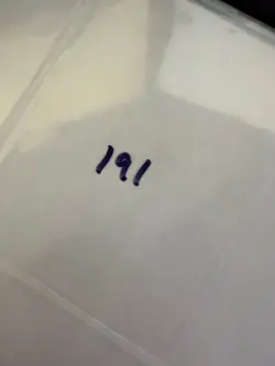 Magic The Gathering: Beta Wanderlust MTG Beta - Image 3