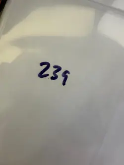 Magic the Gathering: Beta Wall of Fire MTG Beta - Image 3