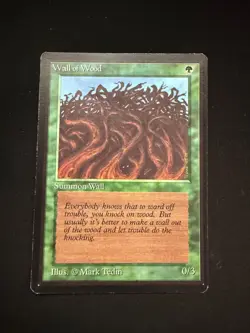 Magic the Gathering: Beta Wall of Wood MTG Beta - Image 1