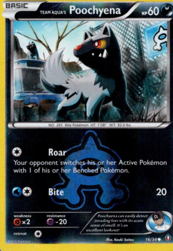 Pokemon -Team Aqua’s Poochyena - 16/34 - Reverse Holo - Double Crisis - NM/M - Image 1