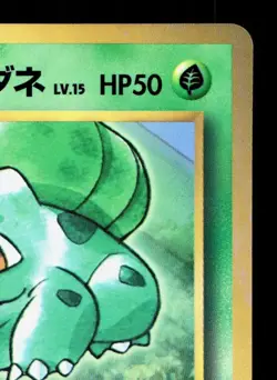 Erika's Bulbasaur NO. 001 Corocoro Comics LP Japanese Pokemon Card TCG - Image 3