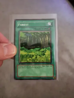 Yugioh Forest LOB-046 1st Edition Near Mint Never Played With Legend Of Blue Eye - Image 1