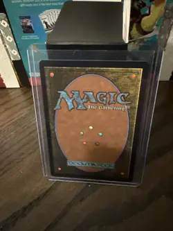 Traveling Chocobo (Borderless) (Chocobo Track Foil) MTG Magic Final Fantasy - Image 3