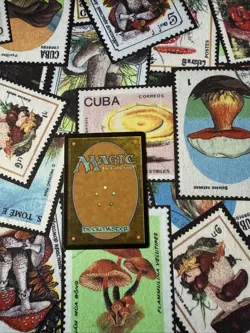 Chief Engineer Core Set 2015 (M15) Regular - Image 3