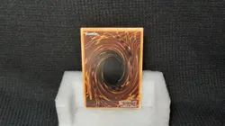 Yu-Gi-Oh! Dragonic Diagram *PRISMATIC SECRET RARE* MP25-EN139 1st Edition NM/M - Image 2