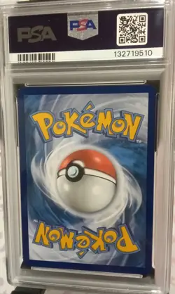 PSA 8 Squirtle 001/034 Classic Collection English Holo Graded Pokemon Card - Image 3