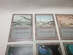 MAGIC THE GATHERING 5TH EDITION BASIC LANDS PARTIAL SET 1997 VTG MTG CARD #440 - Image 4