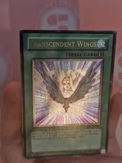 Transcendent Wings (LP) CRV-EN045 Ultimate Rare Unlim - Image 3