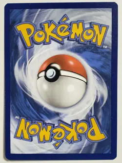 Minccino 146/202 NM B1G1F - Sword Shield Pokemon Card $2 Combined Ship - sowsow - Image 2