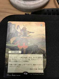 Swords to Plowshares (JP Alternate Art) (Foil Etched) - Strixhaven - NM - Image 2