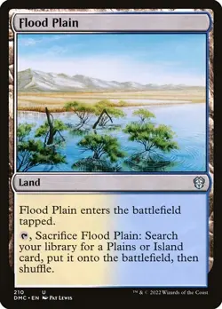 NM Flood Plain, MTG, Dominaria United, Magic the Gathering, 210 - Image 1