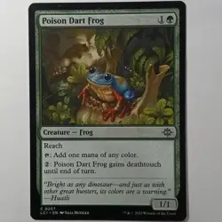 Poison Dart Frog Regular - Image 1