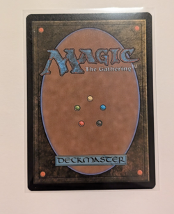 MTG - Sami, Wildcat Captain - Borderless Rare #301 - Edge of Eternities NM - Image 2