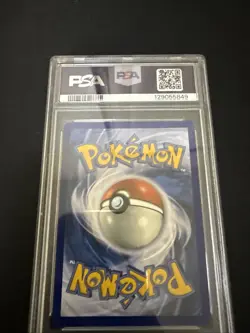 Pokemon TCG Squirtle 2024 Stellar Crown Illustration PSA 10 - Image 3