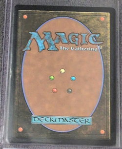 Borderless Foil Path to Exile Marvel's Spider-Man #0004 MTG 2025 - Image 2