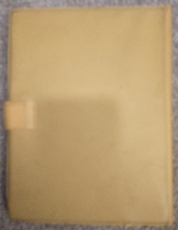 Rare Vintage Yellow Pokemon Trading Card Binder BALBASAUR - Image 2
