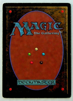 Killer Bees - 4th Series - 1995 - Magic The Gathering - Image 2