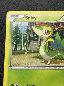 Pokemon Snivy Promo Card 1/12 Holo McDonald's Exclusive MP / DMG - Image 2