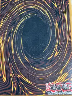 Consecrated Light SDLS-EN022 1st Edition LP Lost Sanctuary Structure Deck Yugioh - Image 2