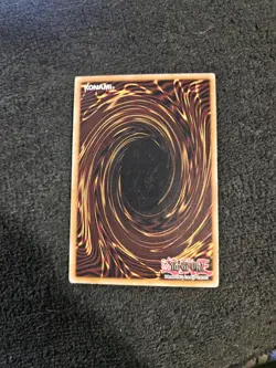 Yugioh TCG - 1x Consecrated Light - SDLS-EN022 - Common - 1st Edition 2011 - Image 2