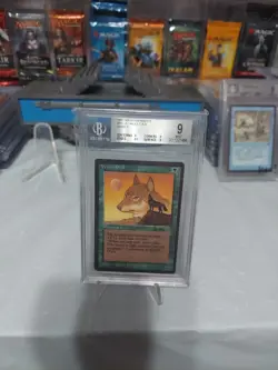 MTG Arabian Nights 1993 Wyluli Wolf (Dark) BGS 9 Old School 93 - Image 1