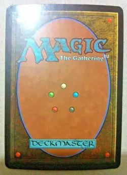 Foil Neverending Torment - Saviors of Kamigawa - Magic: The Gathering - Image 2