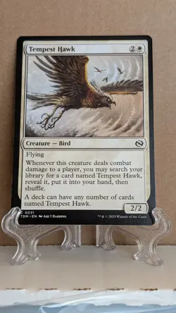 Tempest Hawk Tarkir: Dragonstorm Regular - Image 1
