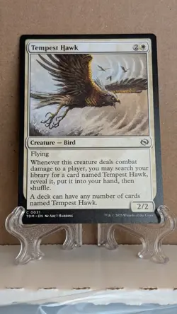 Tempest Hawk Tarkir: Dragonstorm Regular - Image 3