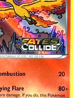Pokemon XY Fates Collide MOLTRES "STAFF" Gold Foil Stamped Prerelease Promo Card - Image 3