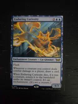 Enduring Curiosity - Duskmourn: House of Horror - 0051 - Image 1