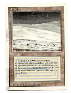 TUNDRA dual LAND, Magic The Gathering, Revised Edition, RARE - Image 1