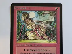 Magic The Gathering Earthbind Limited Edition - Beta Edition Regular LP - Image 2