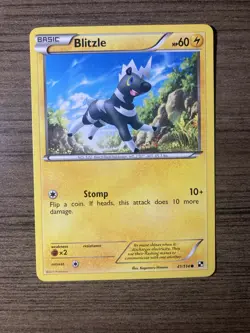 Blitzle 41/114 Black and White Base Set Common Pokemon Card NM - Image 1