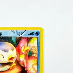 Piplup RC6/RC25 Pokemon TCG Legendary Treasures: Radiant Collection Holo (LP+) - Image 5