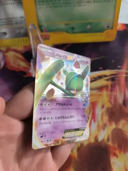 Pokemon Karte Card Holo Gallade Gagliardi Ex Xy Promo Gym Pack japanese NM- - Image 3