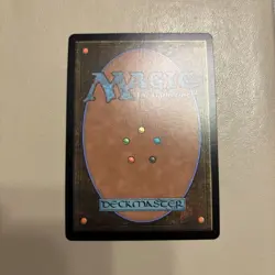 *FOIL* Spider-Punk - Regular Borderless - Marvel's Spider-Man - Magic MTG - NM - Image 2