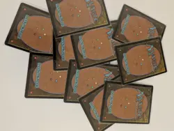 Chocobo Track Foil Full Art Basic Lands NM Final Fantasy MTG, 10x card bundle - Image 2