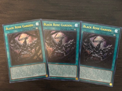 Yugioh 3x Black Rose Garden DOOD-EN055 Doom of Dimensions Ultra 1st Edition NM - Image 1